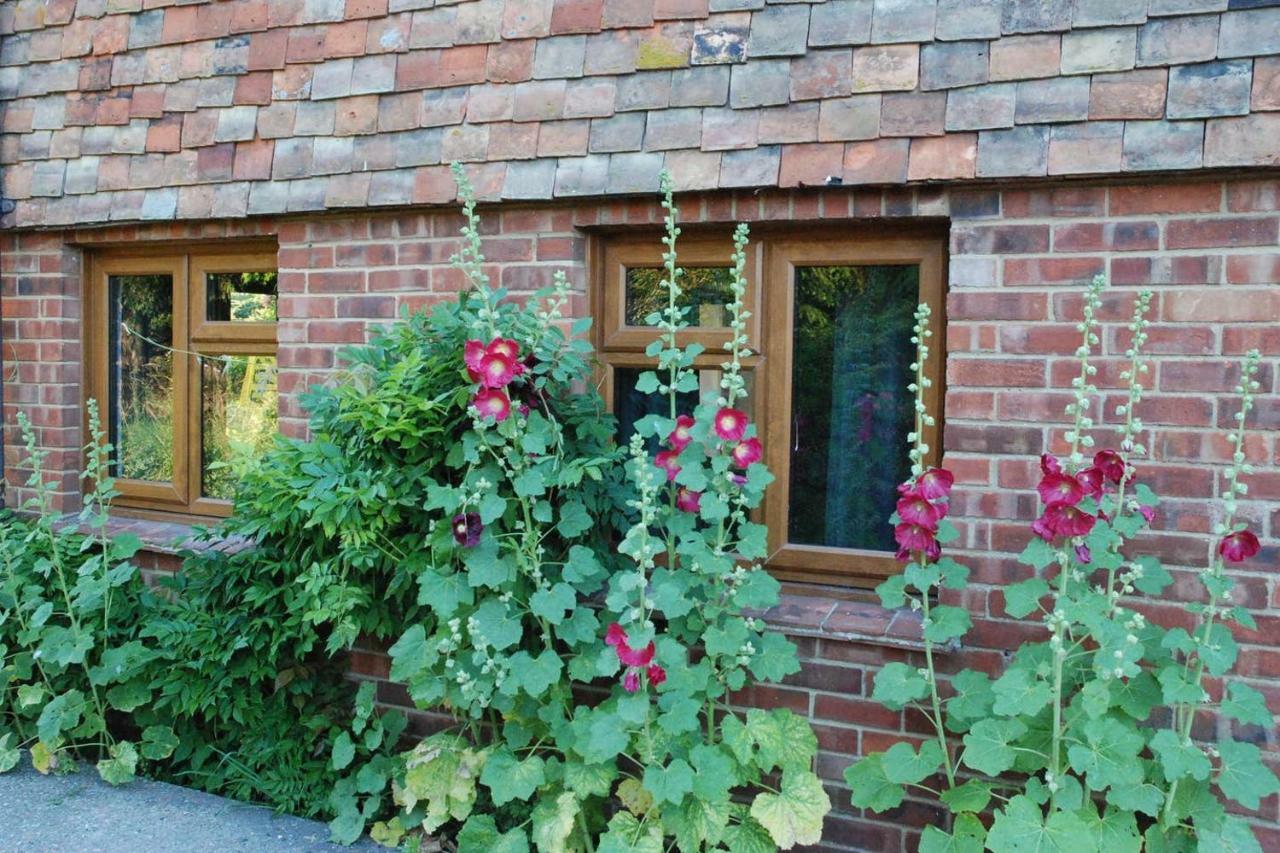 Hollyhock Cottage Ашфорд Екстер'єр фото